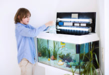 Precauzioni per pulire un acquario 1164 0 Precauzioni per pulire un acquario_ok